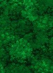 3581-006 Shrub-Emerald