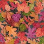 rj701sl2m_colorful_foliage_slate