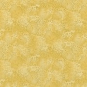 0498-5