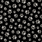 181 Black