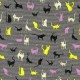 5008-1.Sarah.moon.cat.grey