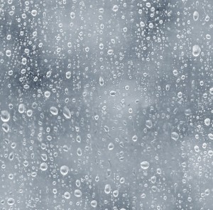 479-gray