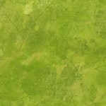 2200-004
