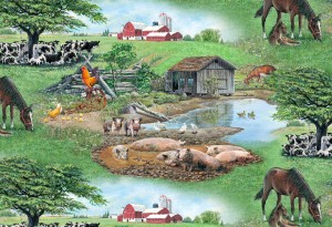 FARM LIFE