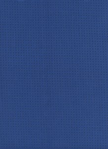 0056-26.Melody.Kicks.PinDot.Indigo.CRLAWN