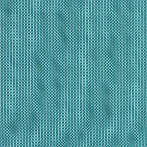 5000-07.Netorious-Teal