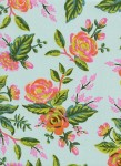 8037-15.Rifle.Menagerie.JardinDeParis.Mint.RAYON