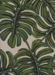 8039-12.Rifle.Menagerie.Monstera.Natural.CANVAS