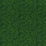 3215-003 OVERLAPPING SQUARES-FOREST