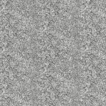3225-010 CROSSHATCH MY WAY-ZEBRA