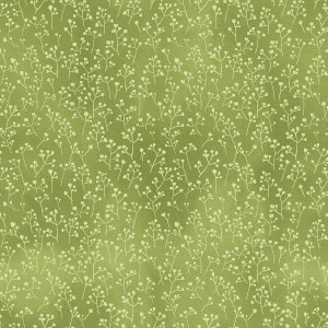 3300-002 Baby's Breath-snow pea