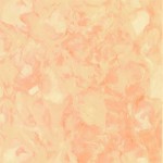 3367-004+Thunder-Palomino