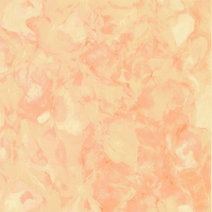 3367-004+Thunder-Palomino