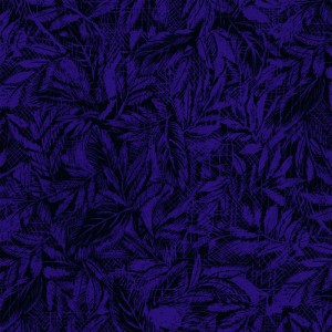 3368-004+Moss-Blackberry