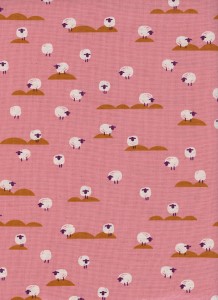 c5169-3.Panorama.Sunrise.Sheep.Coral.UNB