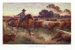 Aust---Cattle_Rush