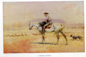 Aust---Sheep_Drover
