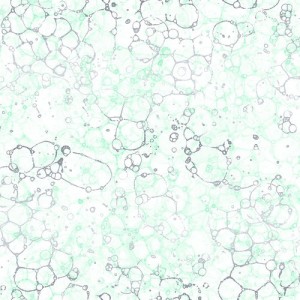 3535-002+Bubbles-julep