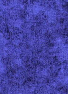 3212-025+Blueberry