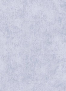 3212-028+Fog