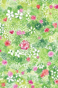 3516-001+Wild+Meadow-sweet+pea
