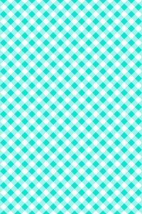 3622-001 Gingham-aqua