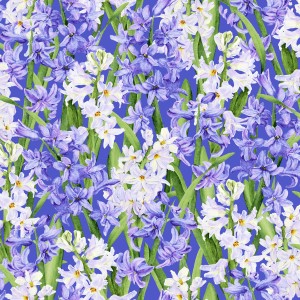 3565-002 Hillsdale-iris