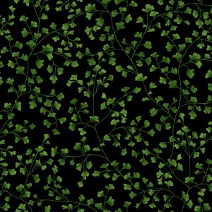 3568-001 Greenglen-night sky