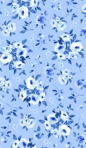 Delft Master