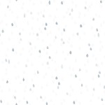3605-003 Raindrops-swan