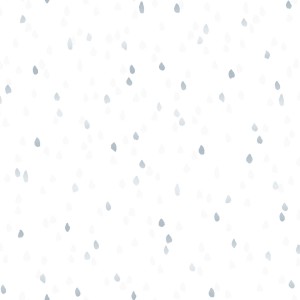 3605-003 Raindrops-swan