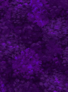 3581-002+Shrub-Amethyst