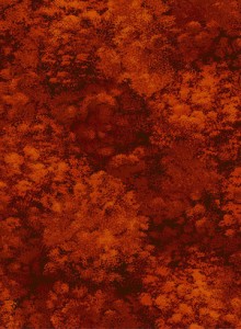 3581-003+Shrub-Sienna