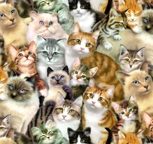 Pet Pourri