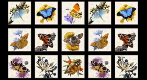 Butterflies and Moths