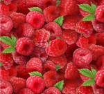 ES154 RASBERRY