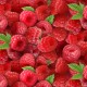 ES154 RASBERRY