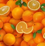 ES261 ORANGE