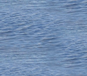 ES528 LAKE