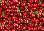 ES577 RED