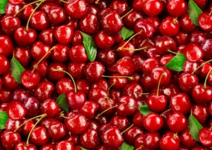 ES577 RED