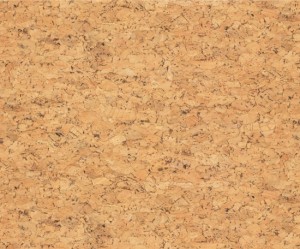 ES586 CORK
