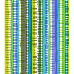 CSMS105BL2