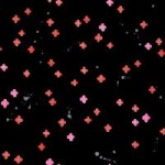 oa105bk3_bouquet_burst_black