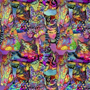 10239 Crazy for Cats Kitty Pack 10239