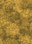 3581-005 Shrub-Gold