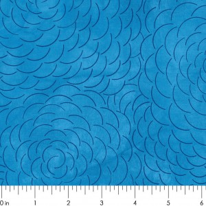RIV-H2O1972-1ruler__49524.1525715044