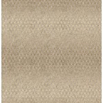 cs102go10cm_mishmesh_goldie