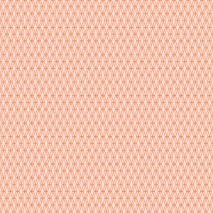 cs102or7_mishmesh_orange_soda
