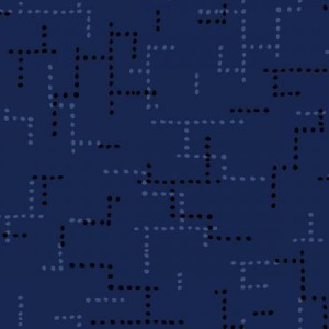 cs104in6_go_dot_go_indigo